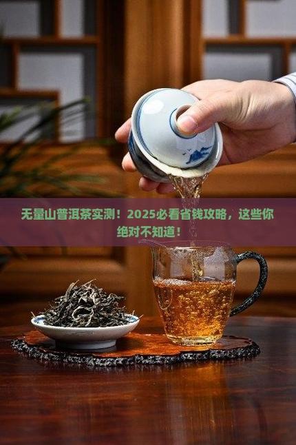 无量山茶属于哪个茶区