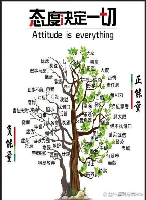 什么植物能量最高