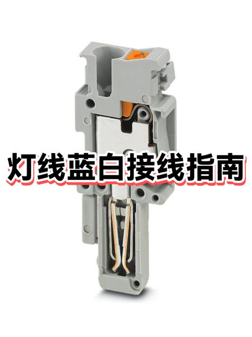 灯一根白线一根蓝线是什么线缩略图