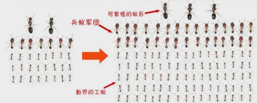 蚂蚁能量会超过24小时显示么