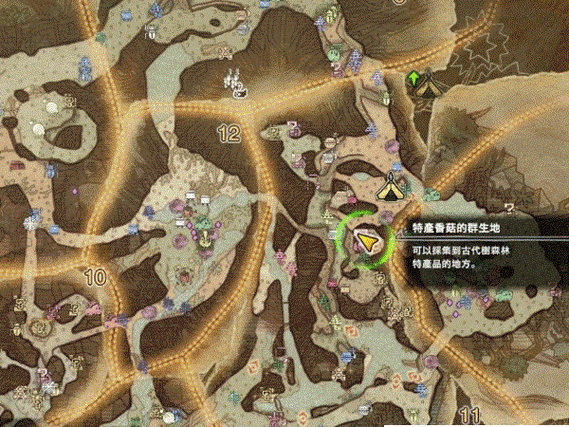 古代树森林矿脉地点