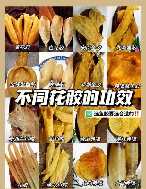 明胶的功效与作用