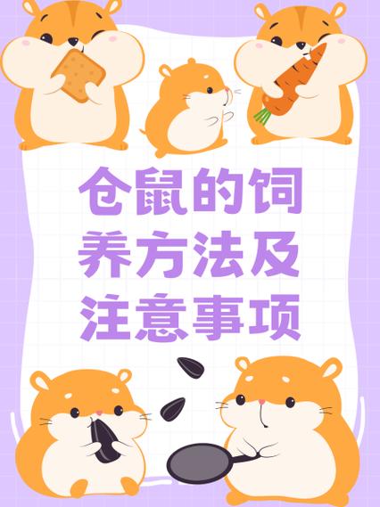 仓鼠怎么养才养得活