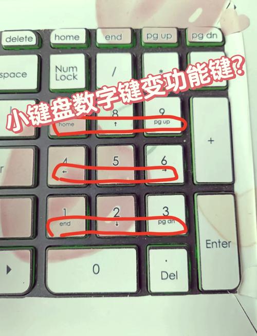键盘上排数字无法使用
