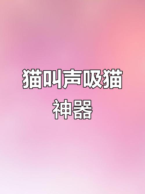 让猫咪过来的声音