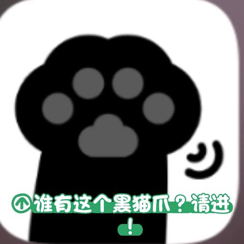 黑色猫爪的小说对话软件