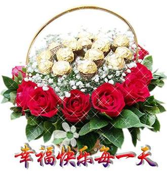 每天祝福视频