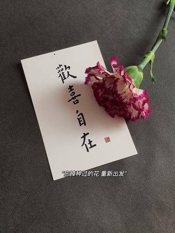 另一个人生图标