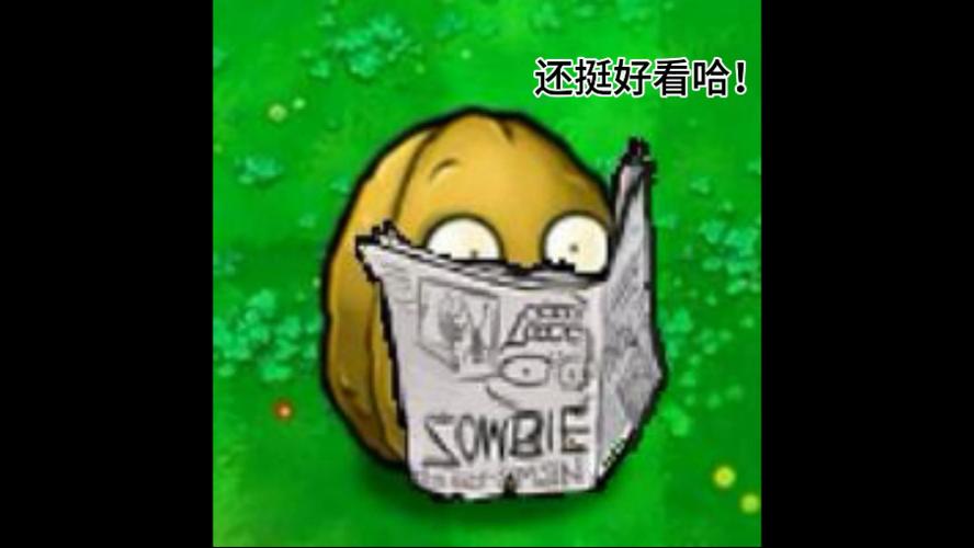 植物大战僵尸坚果表情包