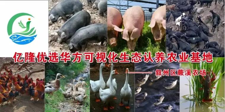 抖音平台扶持农业