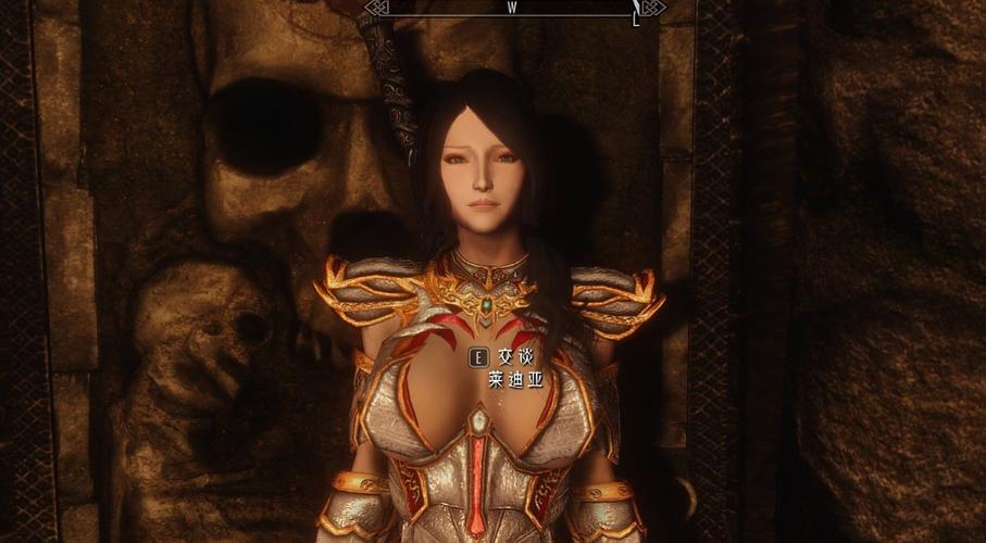 上古卷轴5人物美化mod整合包