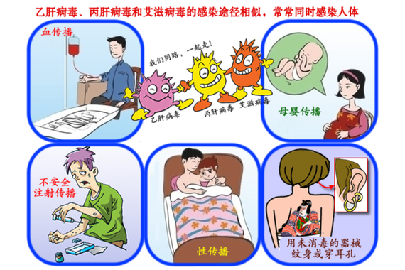 乙肝病毒会空气传播吗