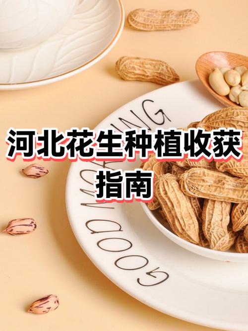 怎样种花生最简单方法缩略图