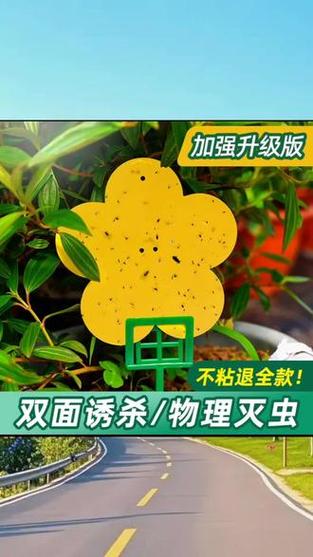 粘贴板