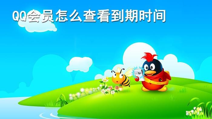 查询qq会员到期时间截图