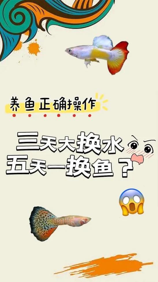 养鱼的注意事项
