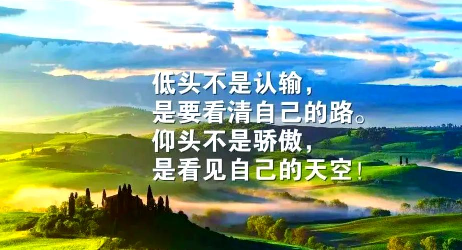 人生感悟语录100句