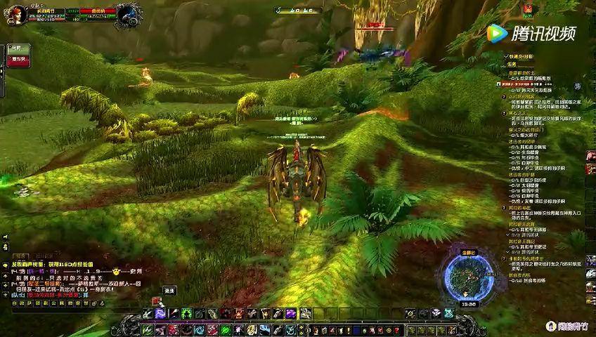 魔兽世界稀有鹦鹉宝宝