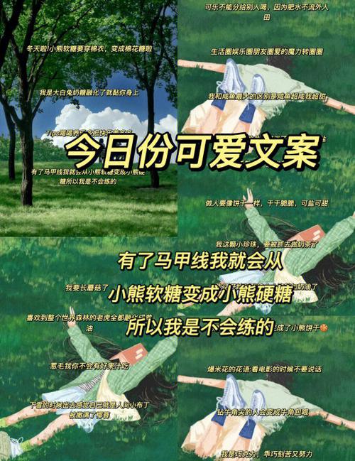 小熊硬糖的故事