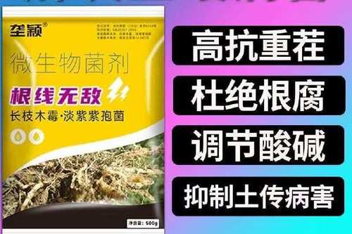 西瓜抗重茬特效药