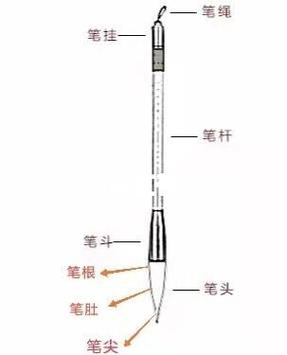 毛笔的部位名称图解