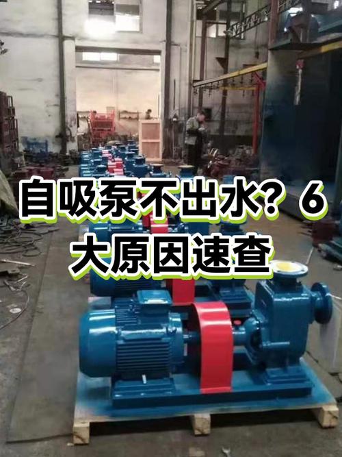 泵不出水的原因及处理方法