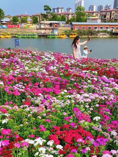 花海原名