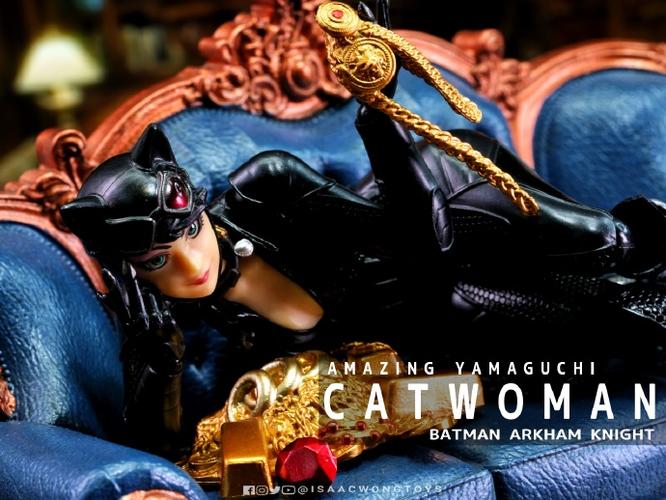 蝙蝠侠阿卡姆骑士救猫女谜语人任务