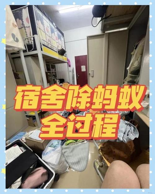 蚂蚁小号宿舍日常