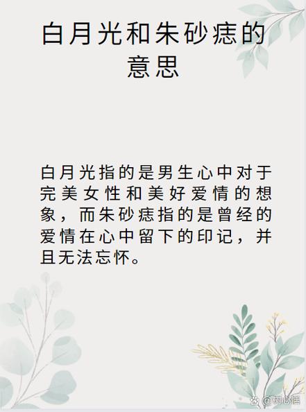 爱情中月亮的含义
