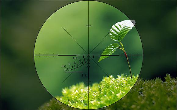绿色准星颜色的使用人群