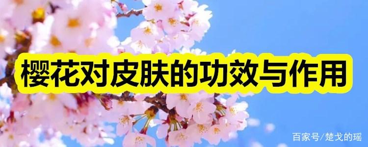 樱花的功能