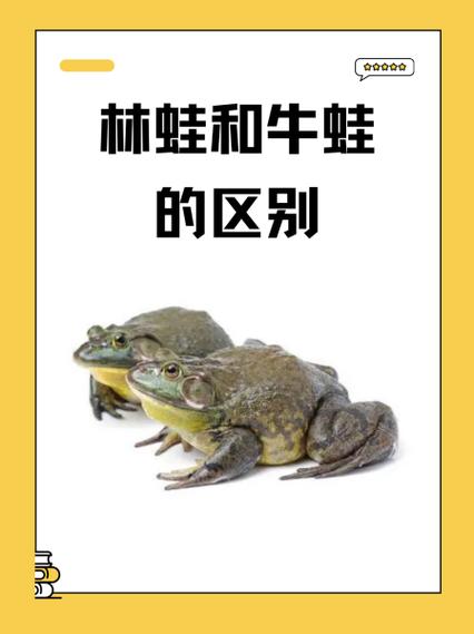 草蛙和林蛙的区别