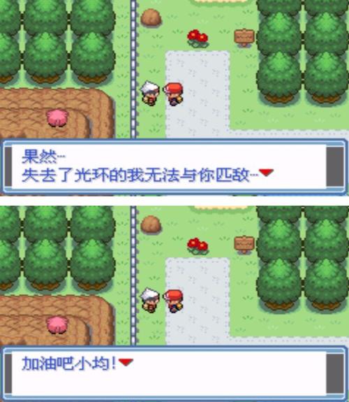 口袋妖怪汉化破解版
