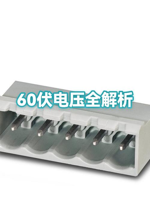 60伏电动车充电电压多少伏正常游戏截图