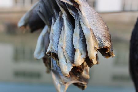 咸鱼变质的6个征兆