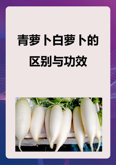炒熟的青萝卜解药吗