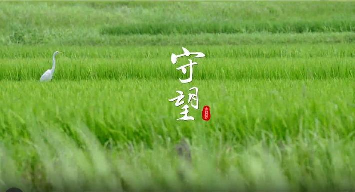 电脑屏幕有护眼模式吗