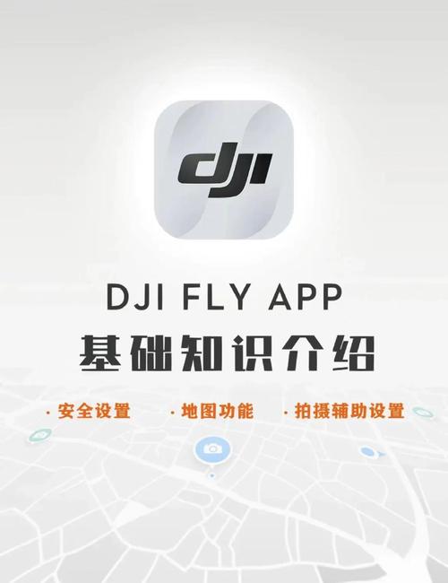 DJI Fly App