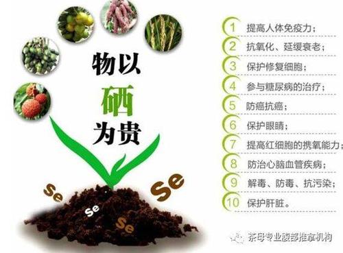 芝麻推助力平台介绍