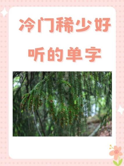 冷门单字