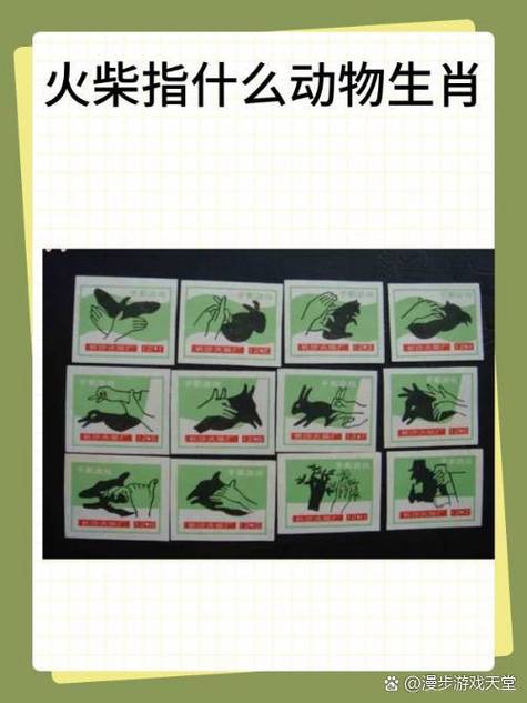 消指什么动物