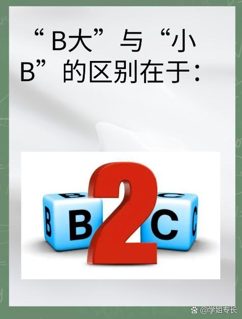 B版是什么意思