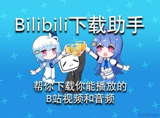 哔哩哔哩的官方网址