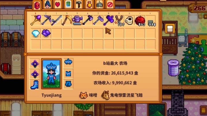 星露谷最强的防御套装截图