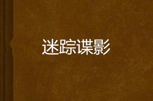 《迷踪谍影》