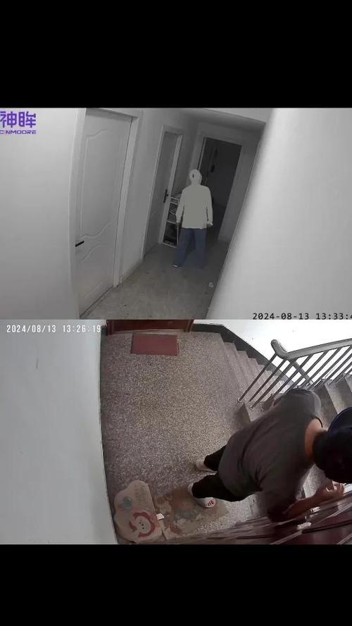 什么监控不用交费