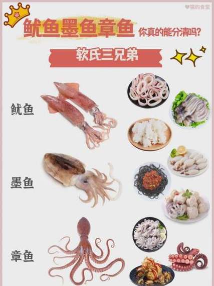 墨鱼和鱿鱼哪个贵
