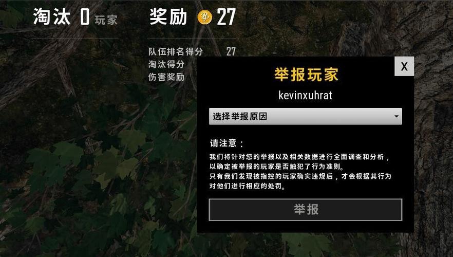 吃鸡故意打死队友举报有用吗