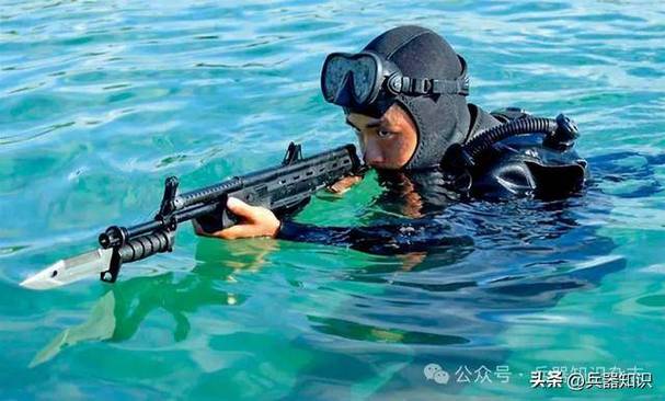 有可以在水下打的枪吗